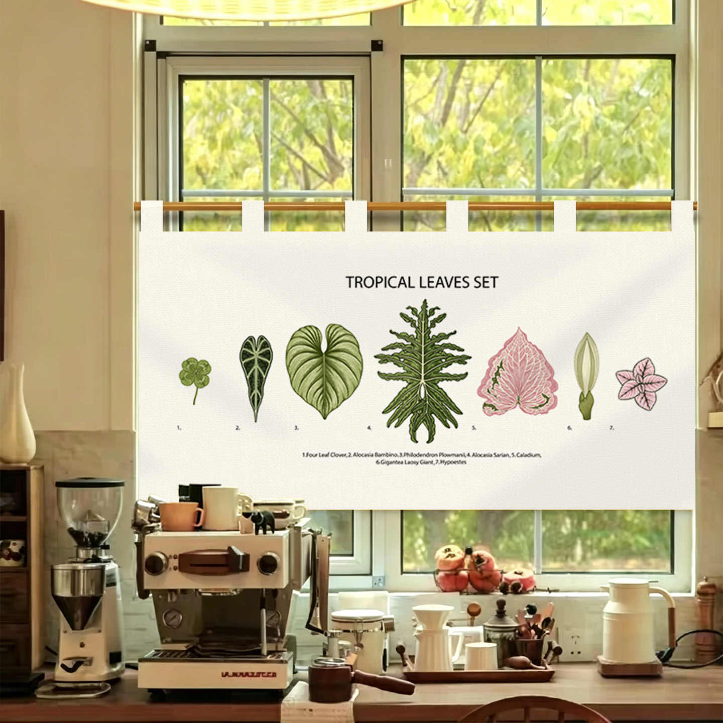 VIKAMA Vintage Hand Drawn Nore - огляд і ціна Commercial Window Printing